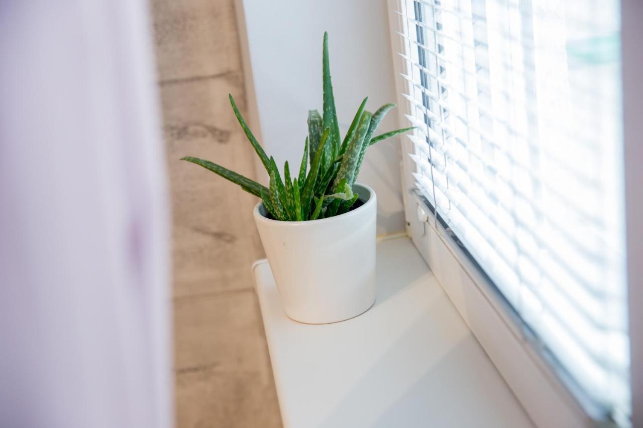 Apartment Studio Milena Subotica Luaran gambar